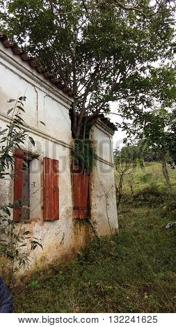 Natureza em perfeita adaptação com arquitetura de uma casa abandonada