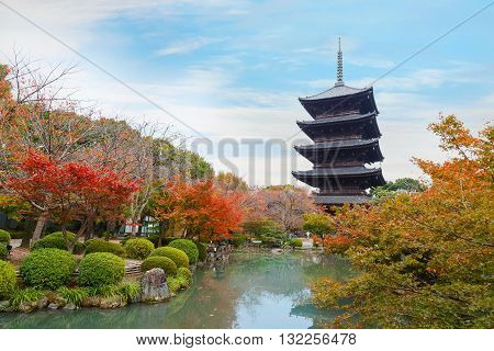 Autumn at Toji Temple in Kyoto Japan