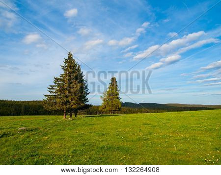 Spring landscape around Plane in Sumava National Park with green meadow, trees and blue sky, Bohemian Forest, Czech Republic