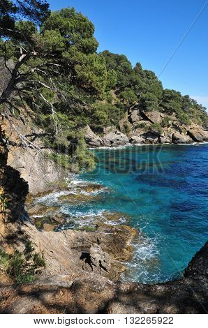 Rayol Canadel sur Mer France - april 18 2016 : the estate Rayol garden in spring