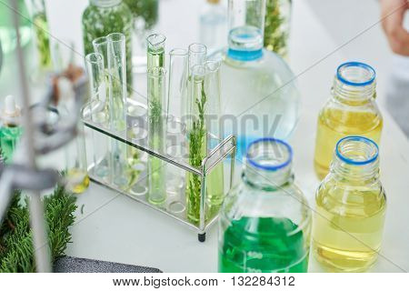 Chemical glassware and plants on table in biology class