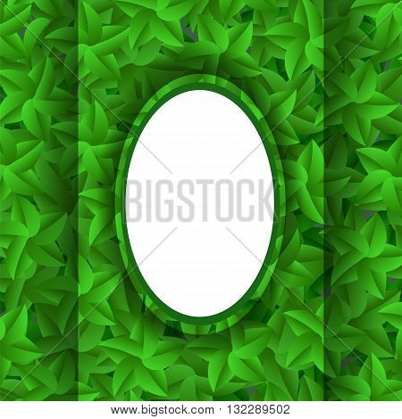 Green Leaves Pattern. Evergreen Hedgegrow. Summer Leaves Background