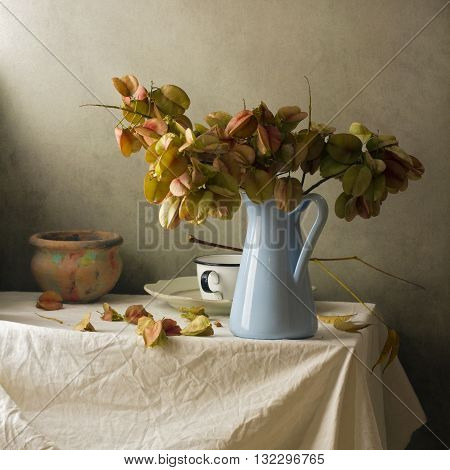 Still life with branches of golden rain tree