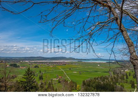 Scenic View from Neuschwanstein Castle - Germany