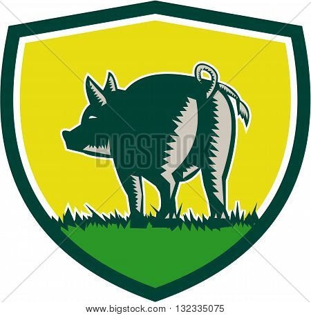 Illustration of a pig standing showing pigtail viewed from rear set inside shield crest done in retro woodcut style.