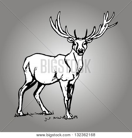 Graphic image of deer with big antlers. The reindeer pattern on a grey background. Vector illustration