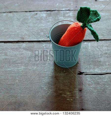 Knitted Carrot, Funny Diy