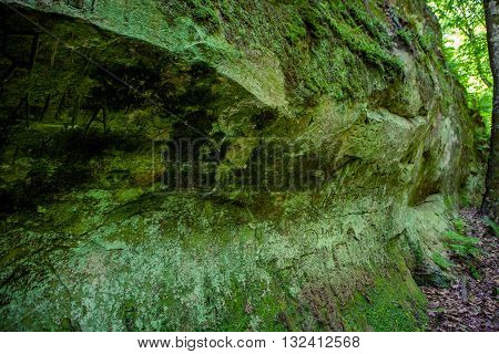 the inscription on the side of a mountain covered with moss and fern