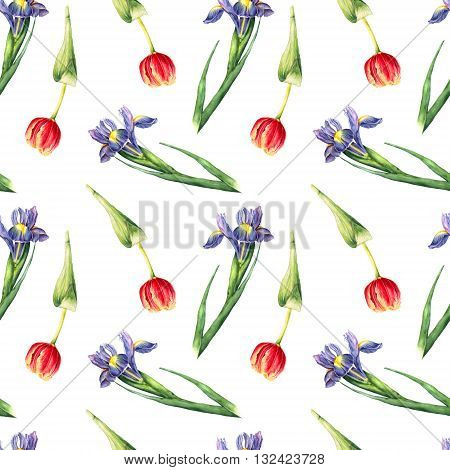 Watercolor tulips and irises on white background. Hand drawn seamless pattern