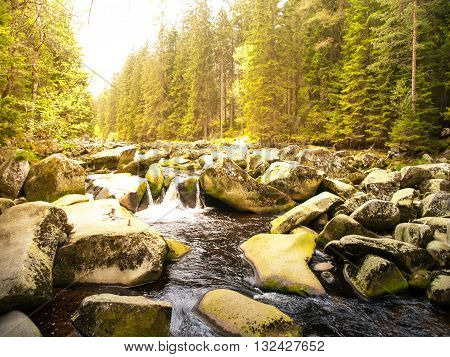 Mossy rocks in the wild stream of Vydra river, Sumava National Park, Bohemian Forest, Czech Republic