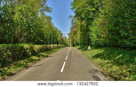   the picturesque main road to the village in spring