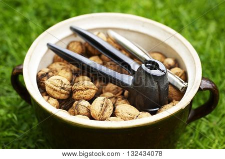 Clay pot full of walnuts on green lawn