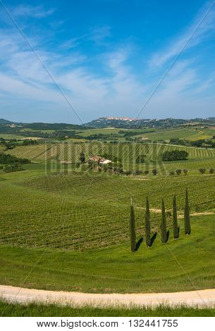 Highly detailed image of typical tuscan landscape