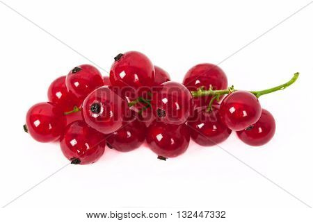 fresh ripe currant photographed closeup isolated on a white background.