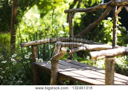Summer garden. Wooden bench in summer garden surrounded by daisies