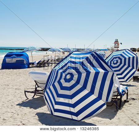 Parasole