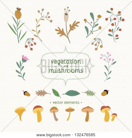 Set of floral elements for design and illustration. Plants flowers mushrooms berries leaves. Perfect elements for save the date card.