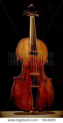 Violino