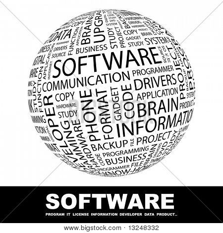 SOFTWARE. Globe with different association terms.