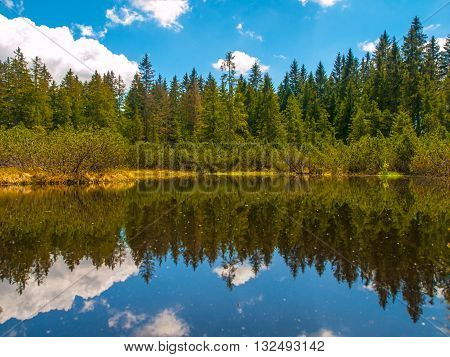 Forest and blue sky reflection in the water, Three Lake Moor, Sumava National Park, Czech Republic