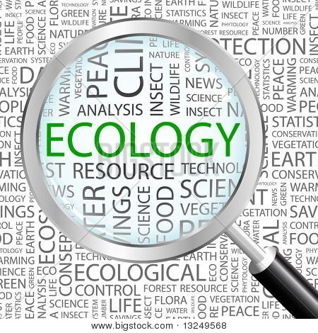 ECOLOGY. Magnifying glass over seamless background with different association terms. Vector illustration.