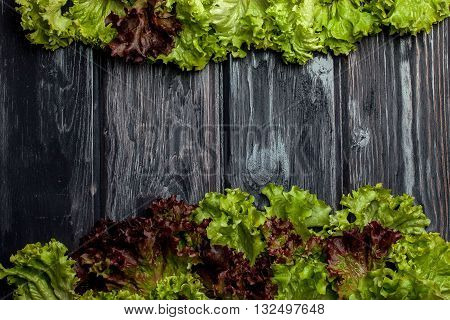 Fresh Salad Leaves