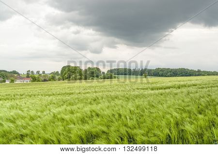 stormy agricultural springtime scenery with grainfield around a small village in Hohenlohe a district in Southern Germany