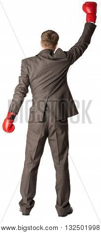 Rear view of successful businessman. Isolated on white background