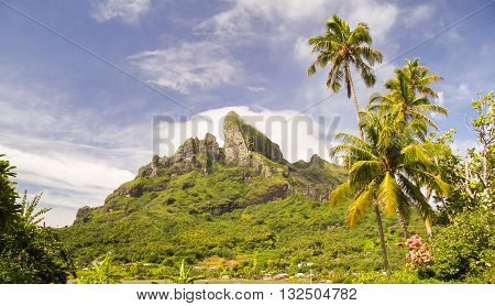Mount Otemanu wih palm trees in Bora Bora French Polynesia