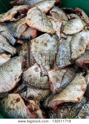 close up fresh Oreochromis niloticus fish for cooking