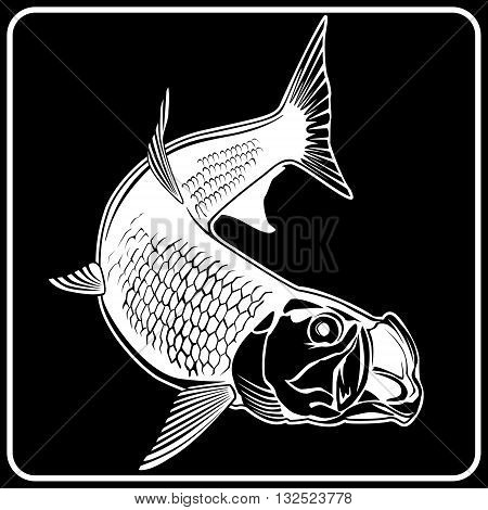 Tarpon Black