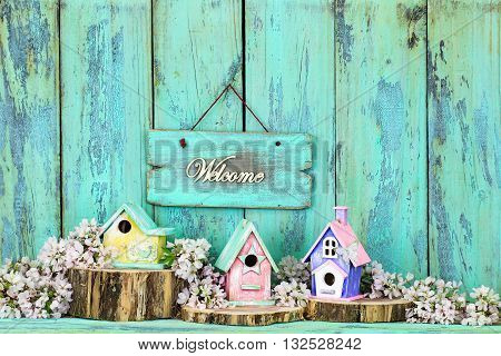 Welcome sign hanging over colorful birdhouses on cedar logs by spring tree blossoms on antique rustic mint green wood background; pink, yellow, purple,birdhouses