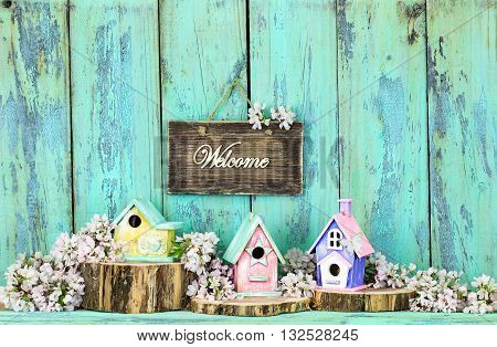 Welcome sign hanging over colorful birdhouses on cedar logs by spring tree blossoms on antique rustic mint green wood background; pink, yellow, purple, birdhouses