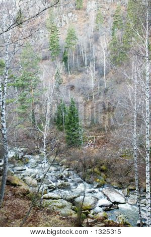 Belokurikha floden.