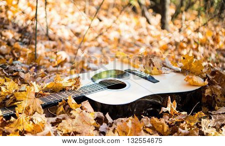 Guitar in autumn leaves  leisure, fun, emotiona