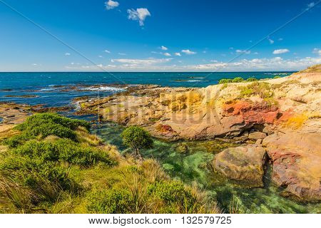 New Zealand colorful coastline landscape with fur seals at Otago Region Southern island New Zealand - full frame and circular polarizing filter