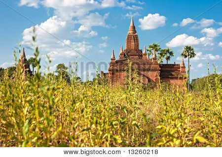 Bagan al tramonto, Myanmar.