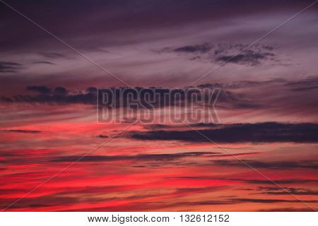 bright summer sunset over the woods. groups color