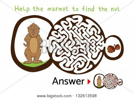 Maze puzzle for kids with Marmot and Nut. Labyrinth illustration, solution included.