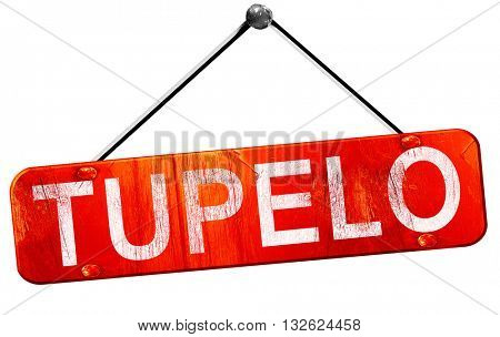 tupelo, 3D rendering, a red hanging sign