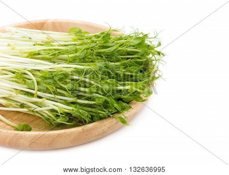 Snow Pea Sprouts On White Background