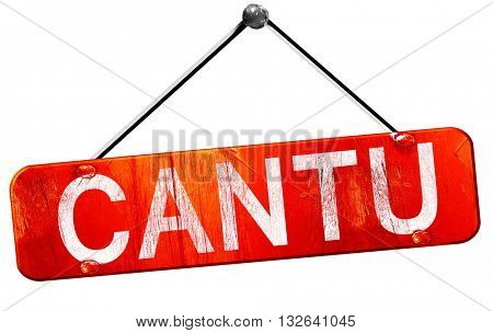 Cantu, 3D rendering, a red hanging sign