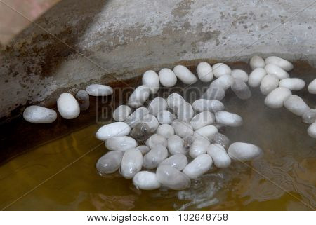 Silk worm cocoon processing. Cocoon suffocation in hot water.