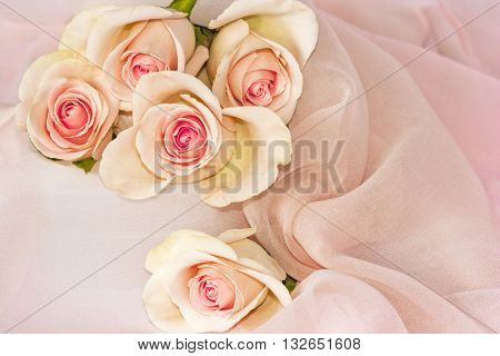 Five Pink Tea Roses with Darker Centres with Soft Silk Chiffon