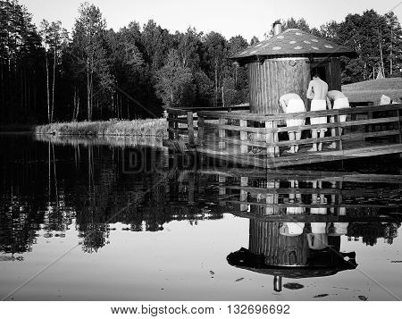Black and white sauna time with three men