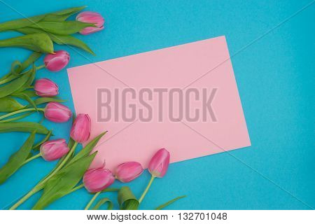 Pink tulips makig flower border on blue background with a space for your text