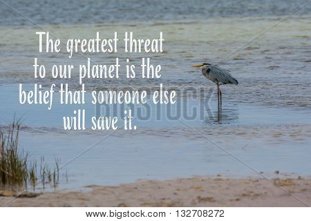 Blue heron relaxes on a beach with inspirational quote about taking care of our planet