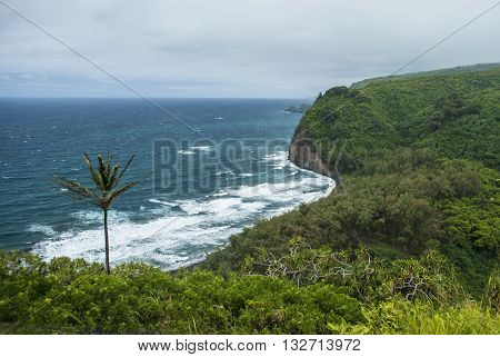 Pololu Valley overlook showing the ocean on the big island of Hawaii.