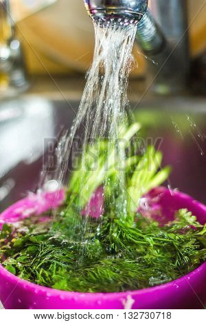 Wash fresh parsley dill shower kitchen dishes fresh herbs wash water spray