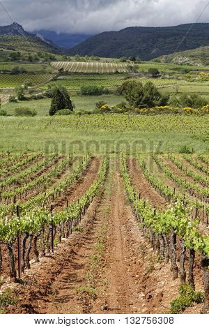 Corbieres Vineyard Landscape. The wines from the region tend to be just as varied as the terroir